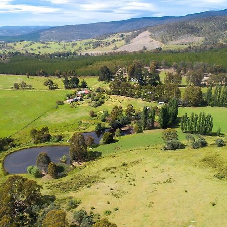 Hamlet Downs Country Accommodation Fentonbury Exterior foto