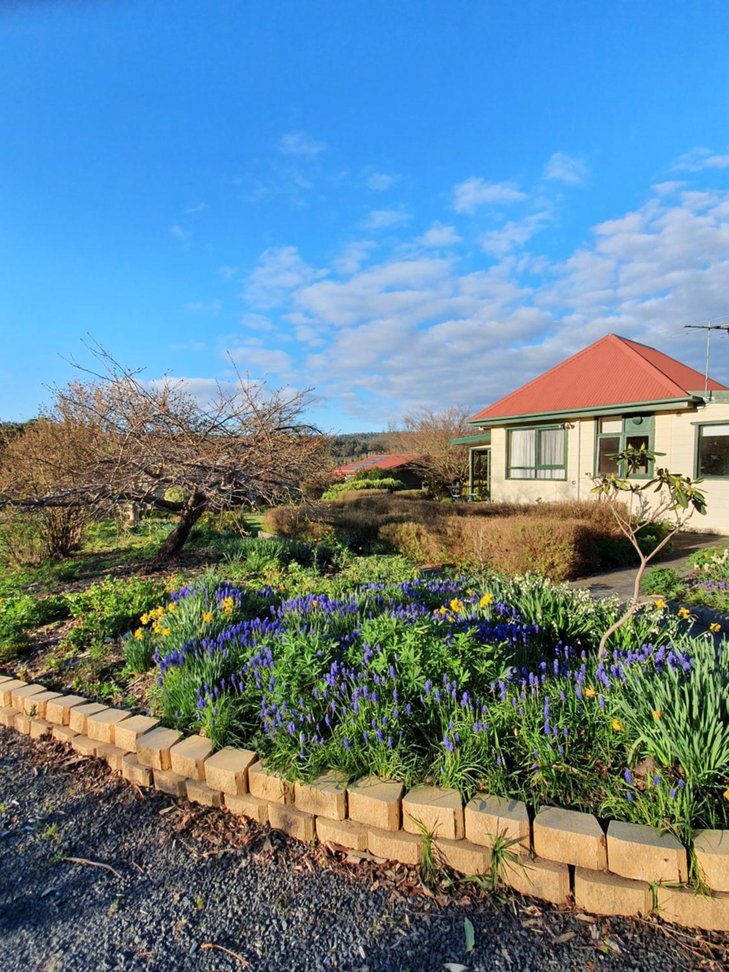 Hamlet Downs Country Accommodation Fentonbury Exterior foto